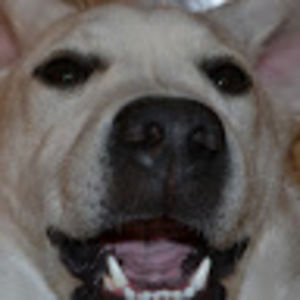 Meet your Posher, Meredith